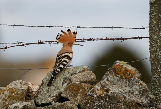 a7e7791b-4fce-412d-a63a-e786b30415af