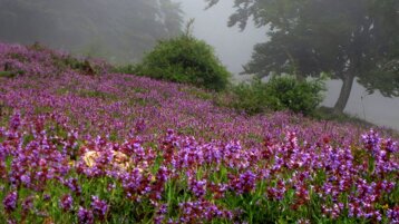 6712584c-91c0-47b3-a323-f9520e77398b