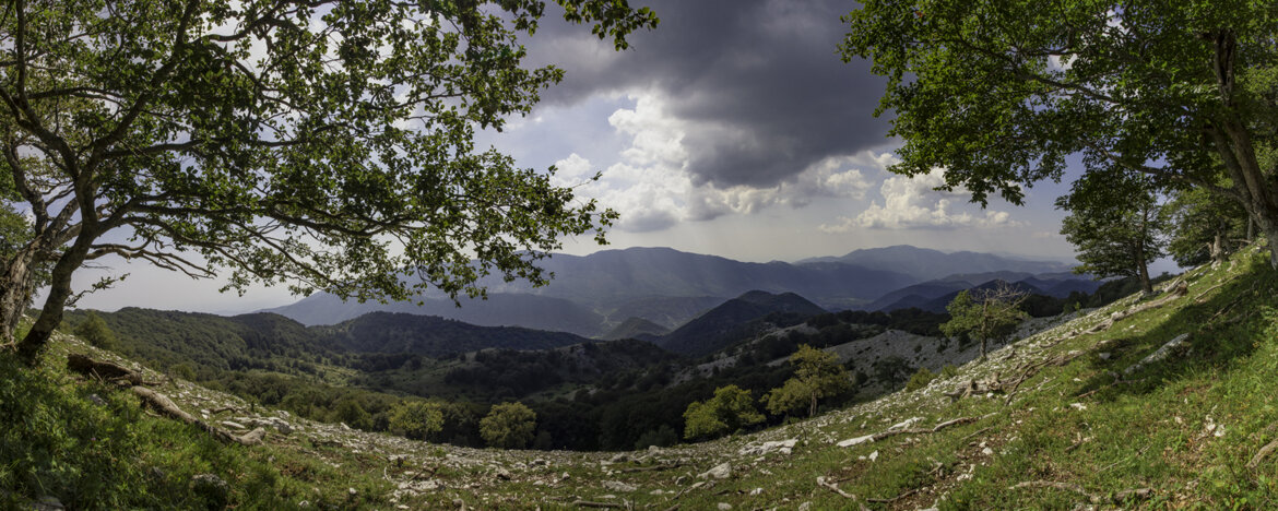 b19e93d7-7bb2-474a-bafb-7e83979e678c