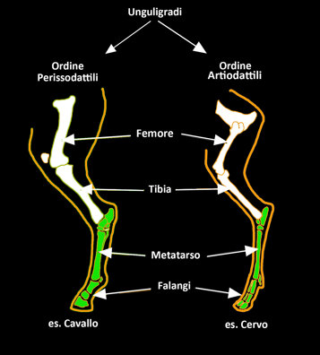 8fa73e56-c913-4fb9-93d2-01b30755e671 8fa73e56-c913-4fb9-93d2-01b30755e671
