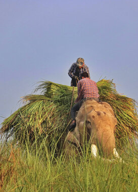 Photo by Gianni Alberti