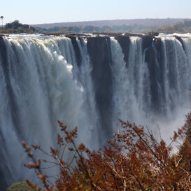 Photo by Lorenzo Marchetti