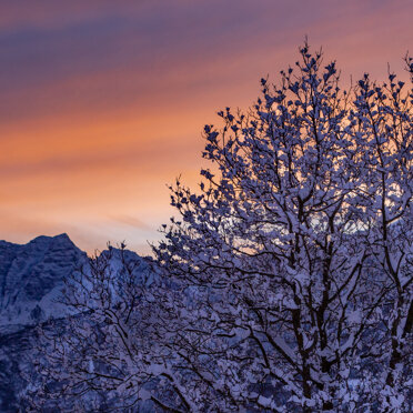 Scorci invernali sulla Val Camonica Scorci invernali sulla Val Camonica