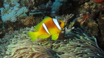 437c7adc-ac0b-4fbb-81db-8d309b76ba0f