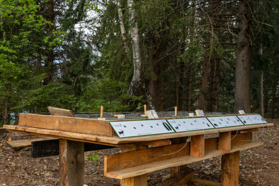 8b7a5b65-65f8-40b9-af08-0fe68efba9d2 8b7a5b65-65f8-40b9-af08-0fe68efba9d2