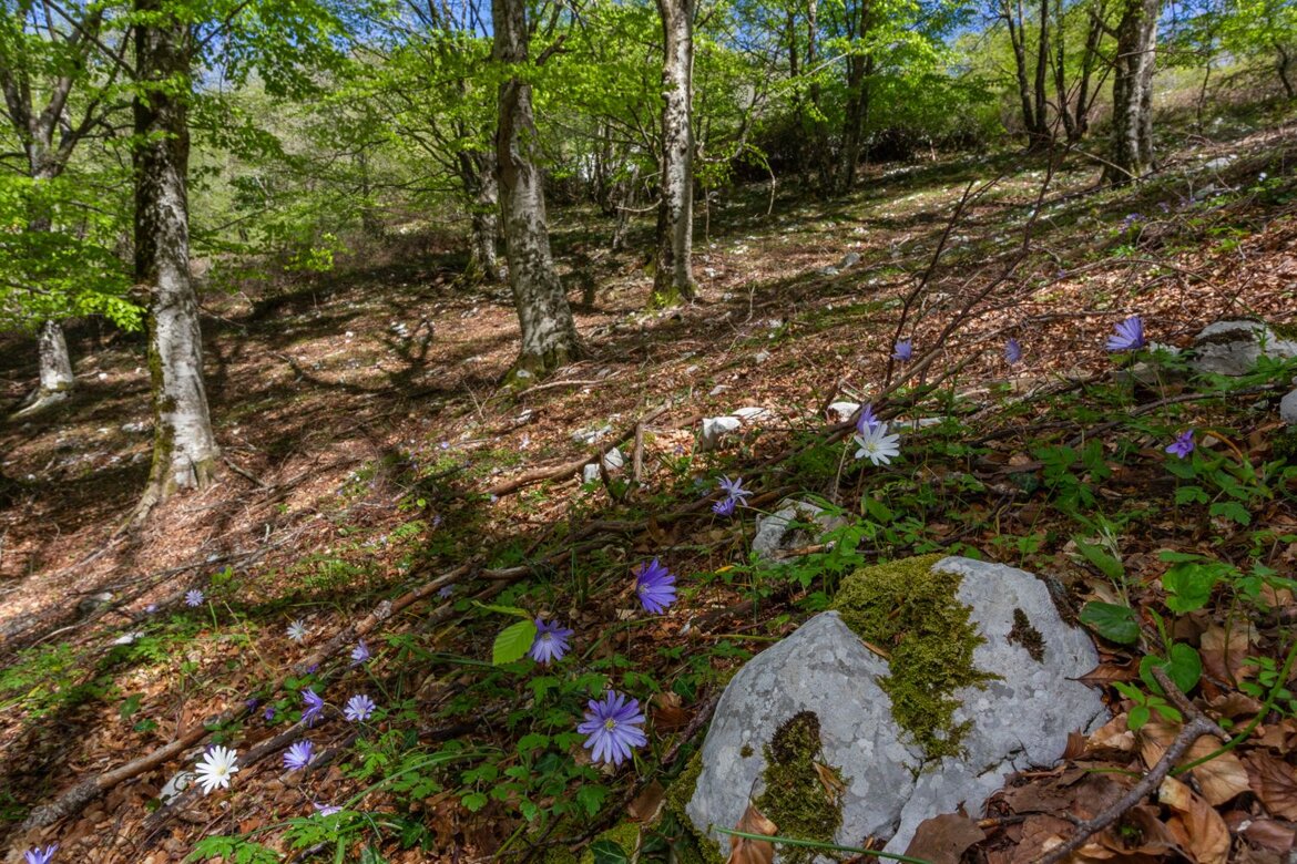 1efb3bae-ac52-4e5f-be50-87cdc870b6fd