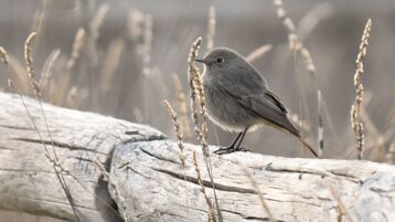 697a205b-d497-4a3f-a968-78690331fb06