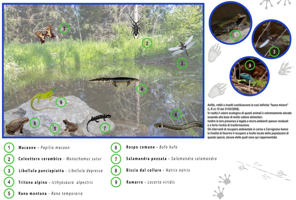 7cc8d776-dd29-4887-85f6-76e0acb54305