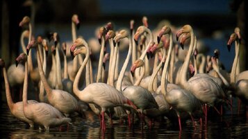 974ef944-b984-4a84-b95f-2d5c392238ac