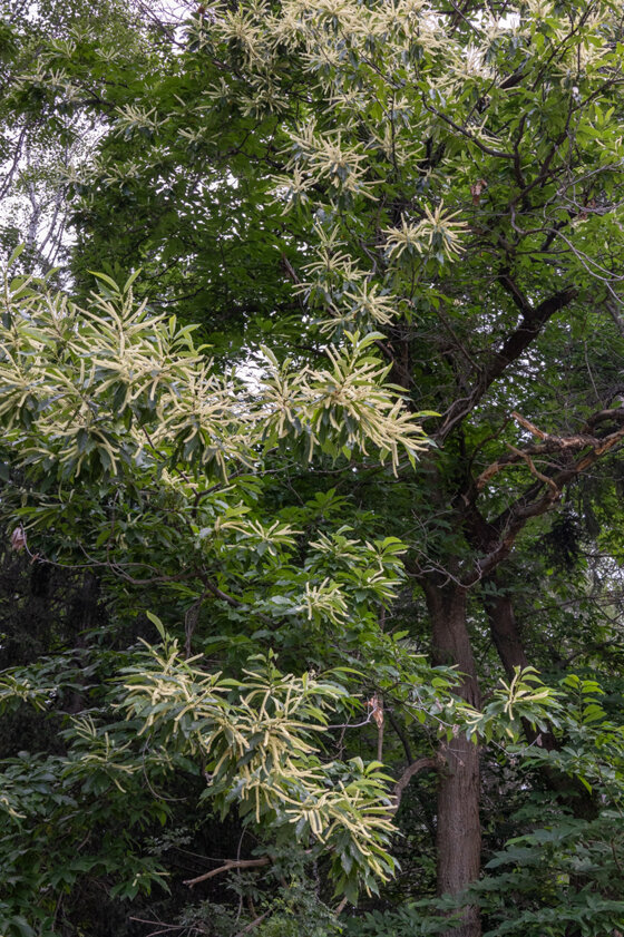 188b3a28-12d9-44ce-81ce-cee1ae297c63 188b3a28-12d9-44ce-81ce-cee1ae297c63