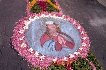 c98a5333-240a-44d9-a4a1-cb4bd6775e87