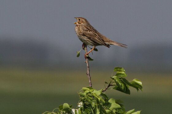 396489e0-dee9-4be4-aefe-9a72843e02a3