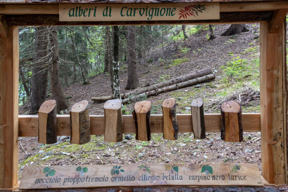 860df896-42a7-4f55-82da-d6e1892d391d 860df896-42a7-4f55-82da-d6e1892d391d