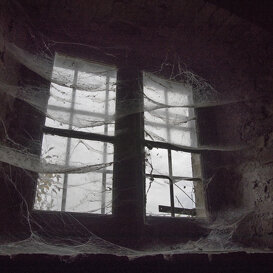 Francesco Pelle The window in the cellar..