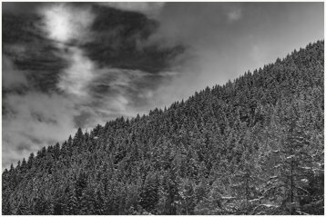 9d36a8c8-9f1a-4e6e-86ea-d8f99495659a