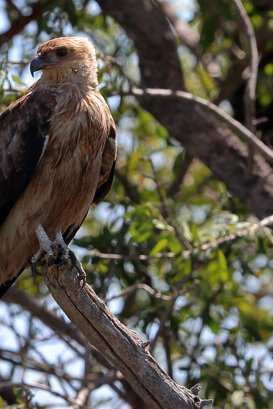 Australia Photo by Lorenzo Marchetti