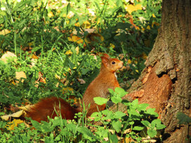 Photo by Gianni Alberti