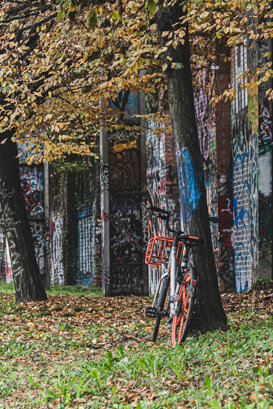 Photo by Dino Topa Autumn View - Milan 2020 - Nikon D500 + sigma 105mm macro - f/8 - 1/400 ISO 400, handheld