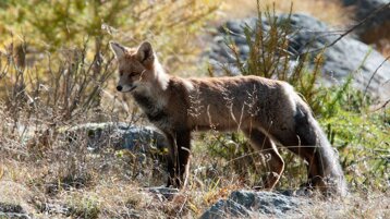 3e01ded1-3825-4ffb-9f3f-6fb0b7825a9a