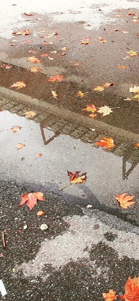 Alessandra Spoldi Reflections and colors