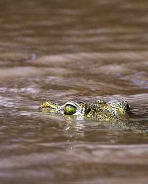 eyJpdCI6IiJ9 eyJpdCI6IiJ9