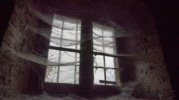 fb0124f3-fb23-4231-83d8-255c5be62d9b