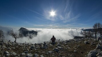 8f9733d7-a8e5-4d05-bc06-d3638a39fce9