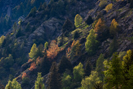 Armando Pezzarossa Summer or Autumn? Colors in Val Salarno Adamello Lombardo Regional Park