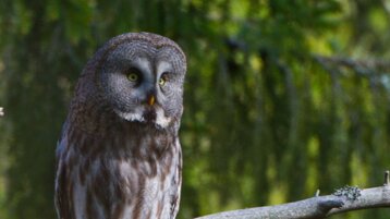 0f0c0bf4-5691-42bb-904c-8ddf9d046d5e