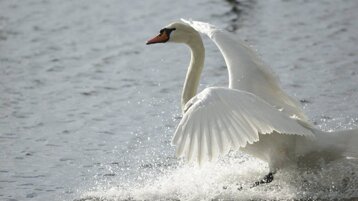 32fcae5d-be5a-4398-9482-1ff82229cac2