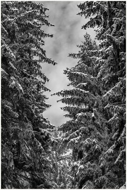 5bd5a3d0-e45d-446a-af1b-919a8223e272