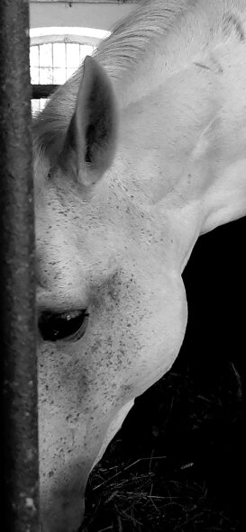 Alessandra Spoldi Points of view...