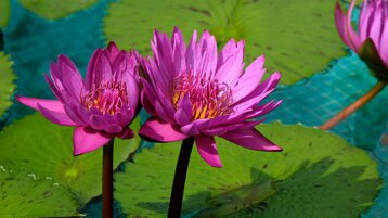 5754092b-c181-42d2-a573-71bfdca82554