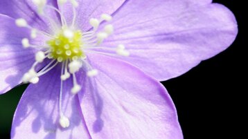 d9ff7ae2-f1c8-46e5-9ded-dd4361f77870