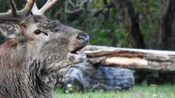 0fcc9023-5e1e-4fdc-85d5-987ea47feca4