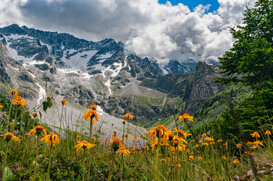 Luca Di Pinto Piana dell'Aviolo - Adamello Lombardo Regional Natural Park - Vezza d'Oglio BS