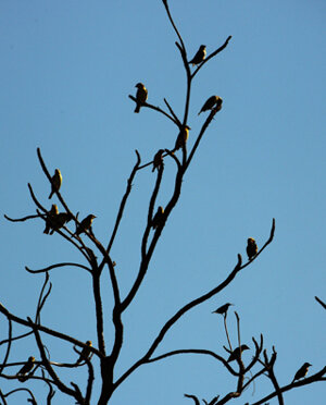 eyJpdCI6IiJ9 eyJpdCI6IiJ9