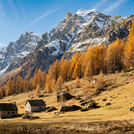 Photo by Samantha De Bernadin Huts among the larches, Alpe Devero
