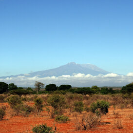 Photo by Lorenzo Marchetti