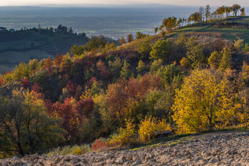 399d4318-3d38-4761-8b12-737962bb9956