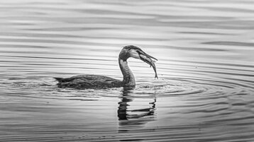 ee51a280-9cc7-4508-a4db-1c599762be3d