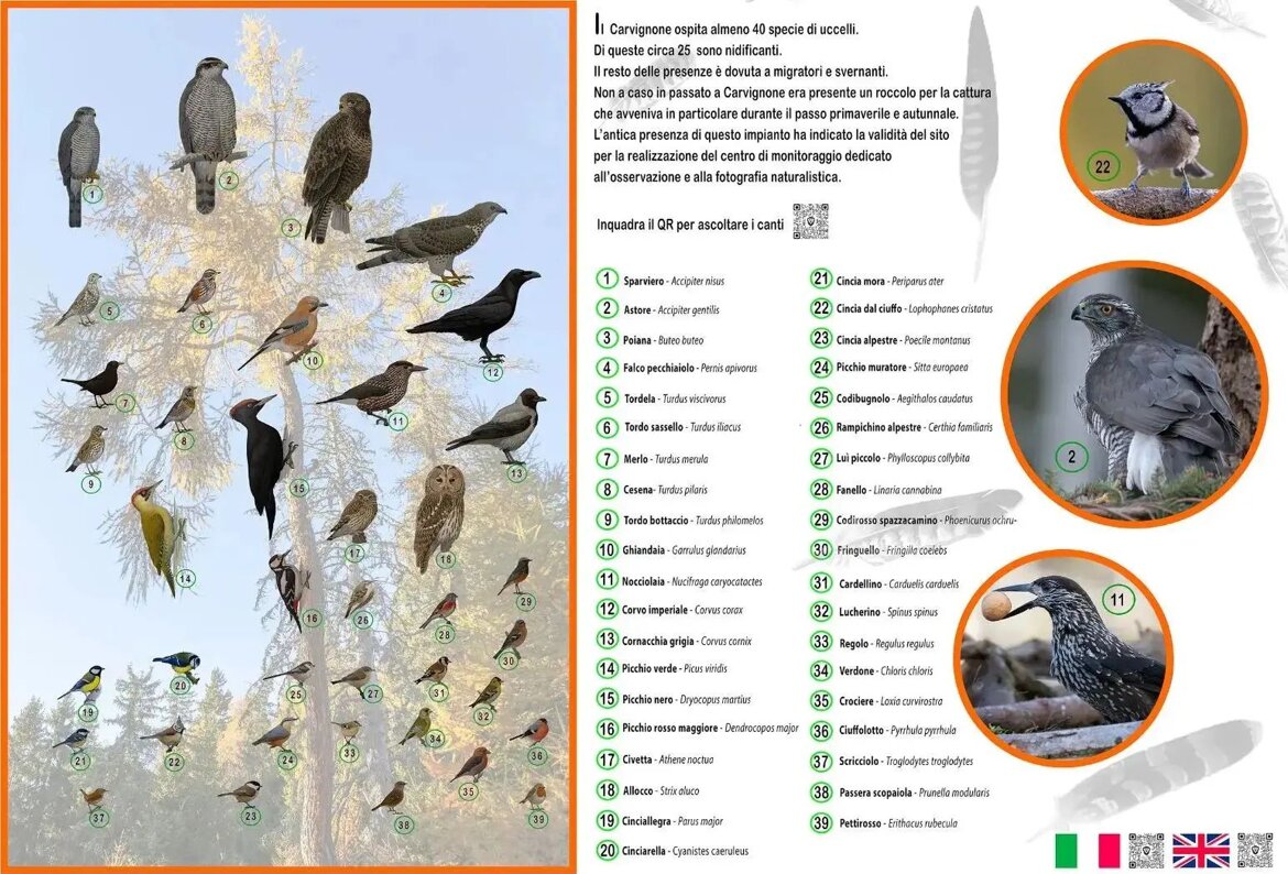 9bd8e929-bd6f-4c98-b501-f59cc85ddc74 9bd8e929-bd6f-4c98-b501-f59cc85ddc74