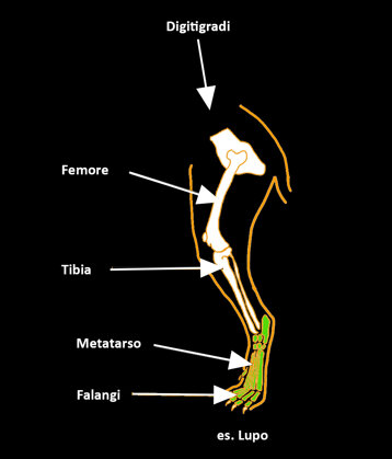 c9609d52-3dcc-47b2-bccf-0cb184988c72 c9609d52-3dcc-47b2-bccf-0cb184988c72