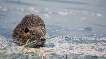 5789f5fc-9f09-489f-81d9-62c92adc8a4b