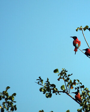 eyJpdCI6IiJ9 eyJpdCI6IiJ9