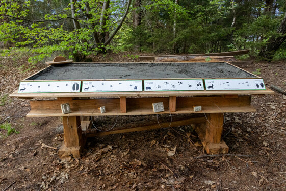 d4e22e8a-7fb8-44b4-965f-7f00ceb3b053 d4e22e8a-7fb8-44b4-965f-7f00ceb3b053