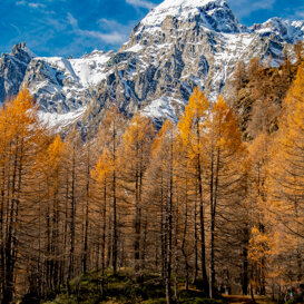 Photo by Samantha De Bernadin Climbing to Alpe Devero, the Forcoretta