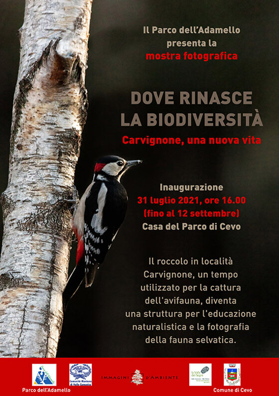 2909fbdf-d4c8-40c8-bfab-269d74755eb4