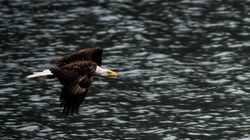 803b3eea-cc7f-4a71-bbc1-2365044d213d