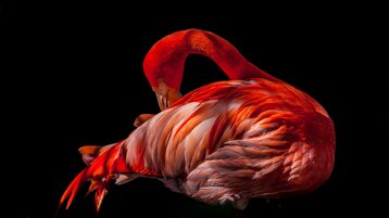 313544ef-e2ed-42e4-958e-7d6fe51c01f1